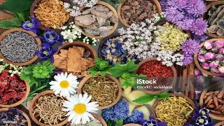 北京按摩市场风向标：洗牌加速，健康养生概念成新宠？内幕人士深度解读！