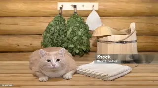 告别疼痛！深度揭秘：按摩疗效远超你想象，不只是舒服！