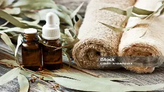 京城桑拿新风尚：告别老派汗蒸，拥抱个性化养生体验！