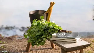 零基础也能上手！北京按摩入门指南：告别僵硬，唤醒身体活力