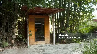 按摩新手必看：黄金时间表，让你不花冤枉钱，按出真效果！