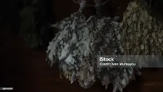 蒸的不仅是汗，更是千年智慧！桑拿起源解密：从古罗马浴场到现代养生馆