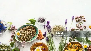 蒸汽腾腾的古老秘密：桑拿浴如何从芬兰走向世界，成为放松身心的不二之选？ 海报